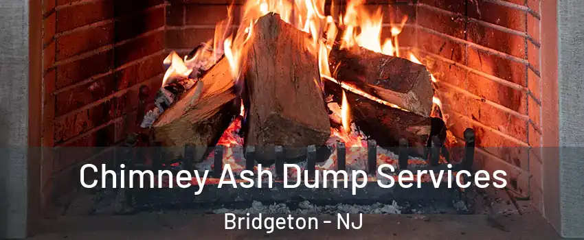  Chimney Ash Dump Services Bridgeton - NJ