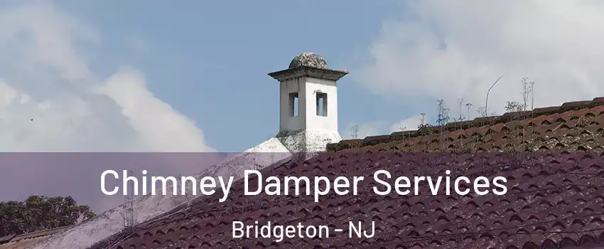  Chimney Damper Services Bridgeton - NJ