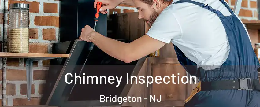  Chimney Inspection Bridgeton - NJ