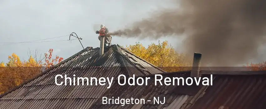  Chimney Odor Removal Bridgeton - NJ