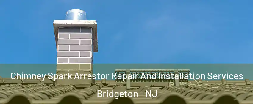  Chimney Spark Arrestor Repair And Installation Services Bridgeton - NJ