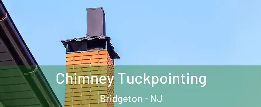  Chimney Tuckpointing Bridgeton - NJ