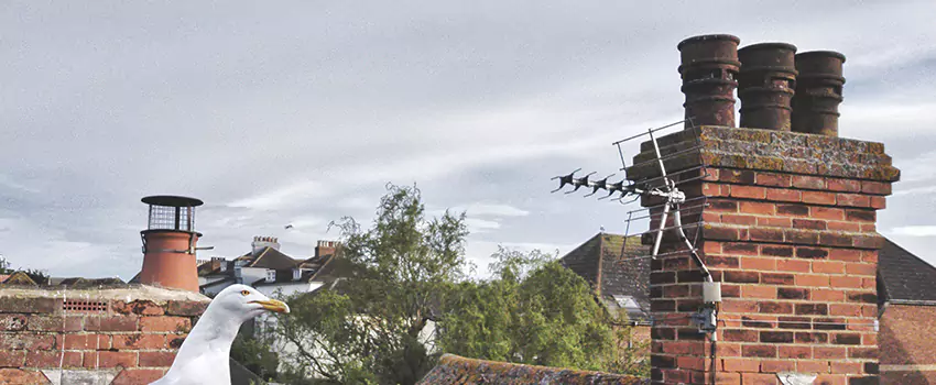Chimney Cleaning And Restoration in Bridgeton, New Jersey