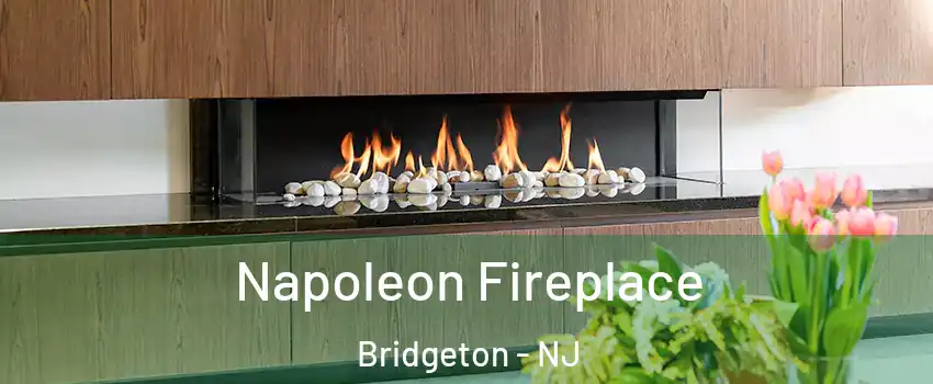  Napoleon Fireplace Bridgeton - NJ